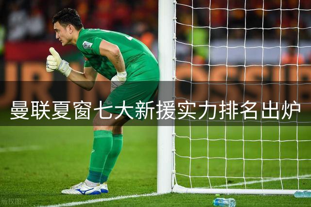 曼联夏窗七大新援实力排名出炉